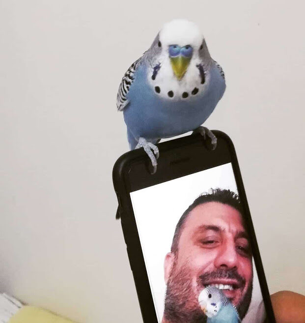 Bora Dervişoğlu'nun dekoratif çalışması (049)